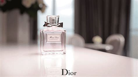 dior moving gifs|dior cartoon gif.